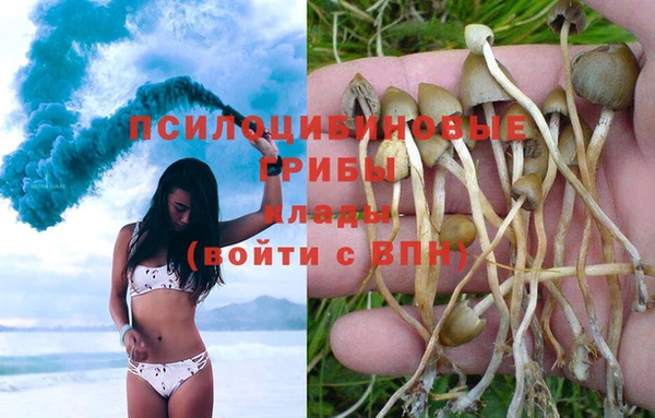 прущая мука Богородск