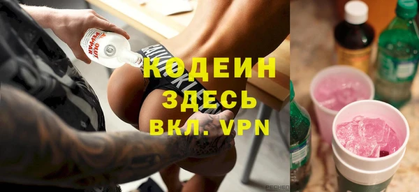 гидра Богородицк