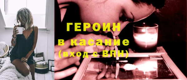 гидра Богородицк