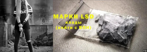 гидра Богородицк