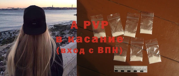 гидра Богородицк