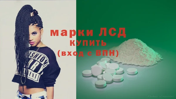 гидра Богородицк