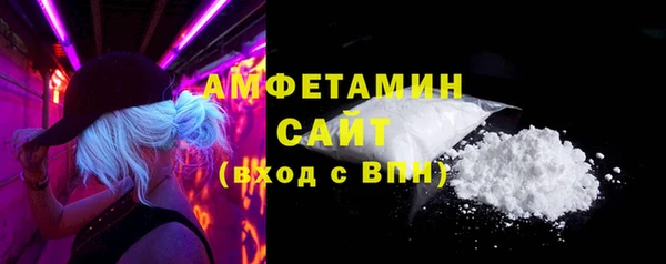 гидра Богородицк