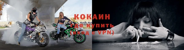 прущая мука Богородск