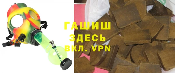 гидра Богородицк