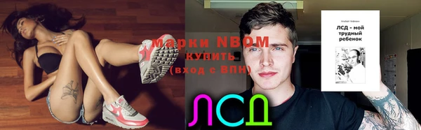 гидра Богородицк