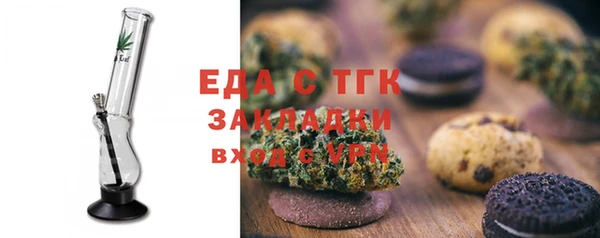 гидра Богородицк
