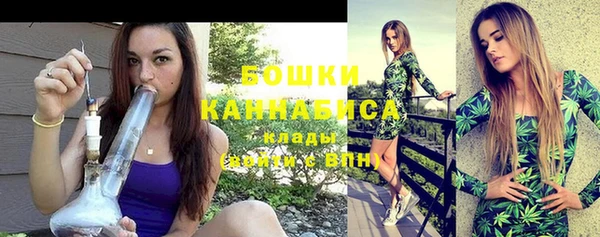 гидра Богородицк