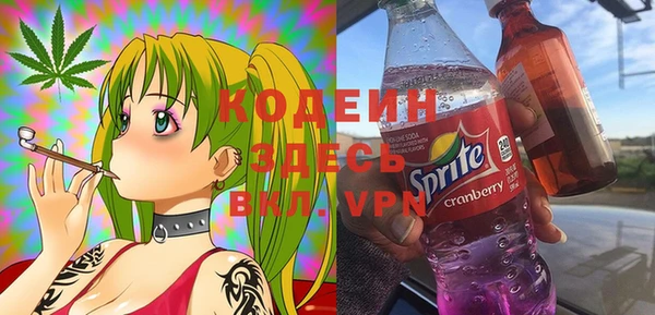 гидра Богородицк