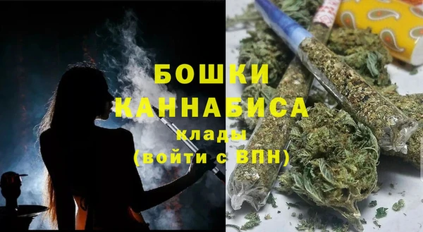 гидра Богородицк