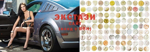 гидра Богородицк