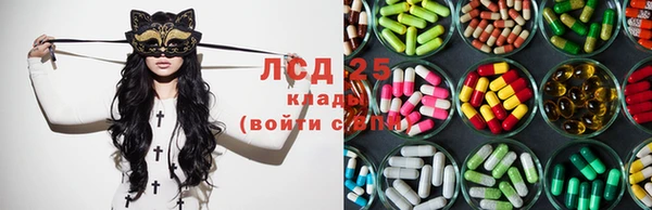 гидра Богородицк
