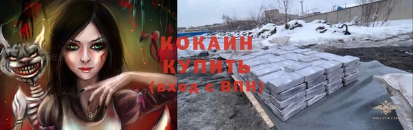 прущая мука Богородск